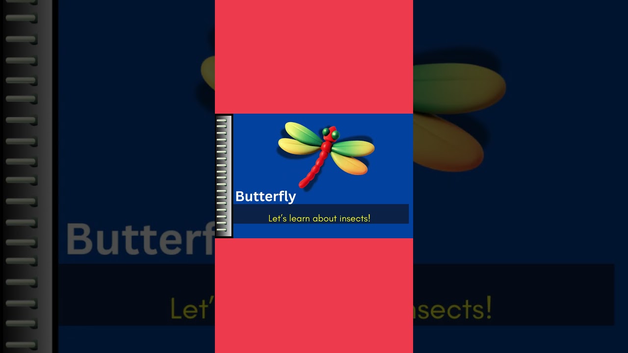 Learning About Insects//#InsectsForKids #PreschoolScience #earlyeducation #abclearning #reel #viral