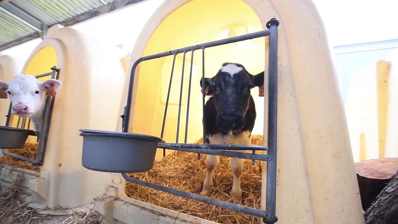 L'unité de biométhanisation de la ferme Roche Madou