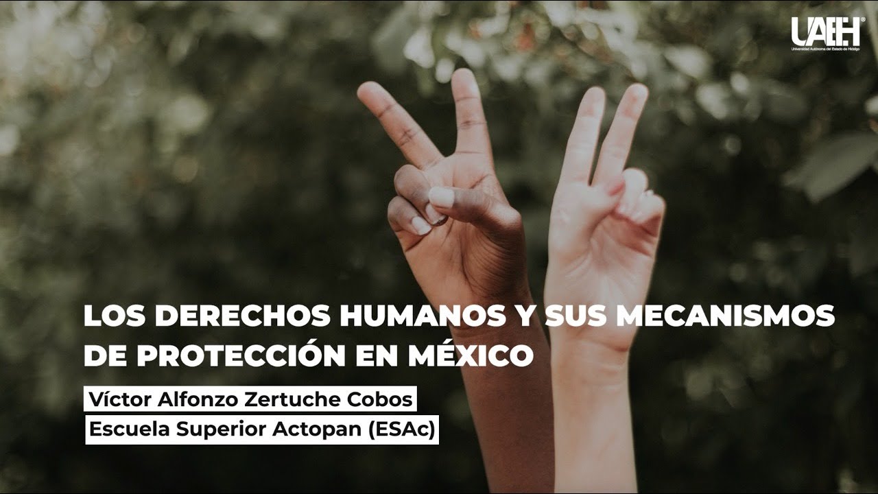 Los Derechos Humanos y sus mecanismos de protecci&oacute;n en M&eacute;xico