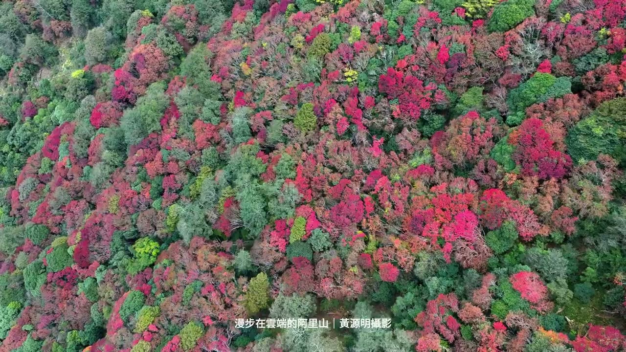 新中橫公路的大地彩衣4K精華版