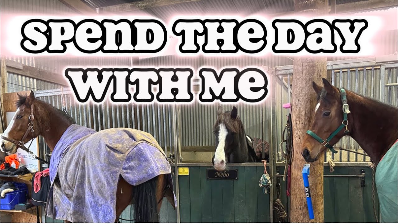 DAY IN THE LIFE | MUCK OUT & RIDE WITH ME
