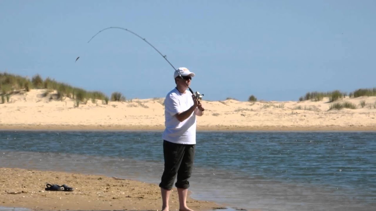 Soft Plastics 101- Rod Selection