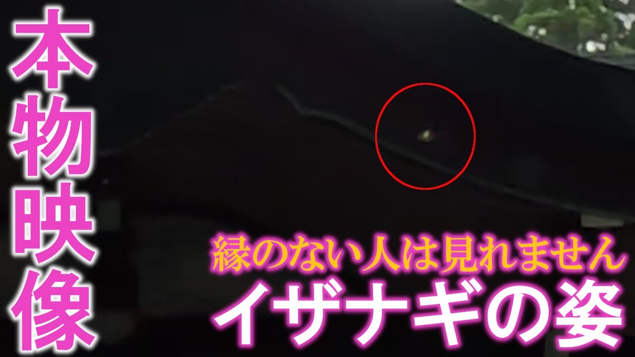 ⚠️イザナギ様、龍神様が現れる奇跡の映像。お姿が見えたら願いが叶います。もし逃したら二度とありません｜霧島六社権現・霧島東神社遠隔参拝295