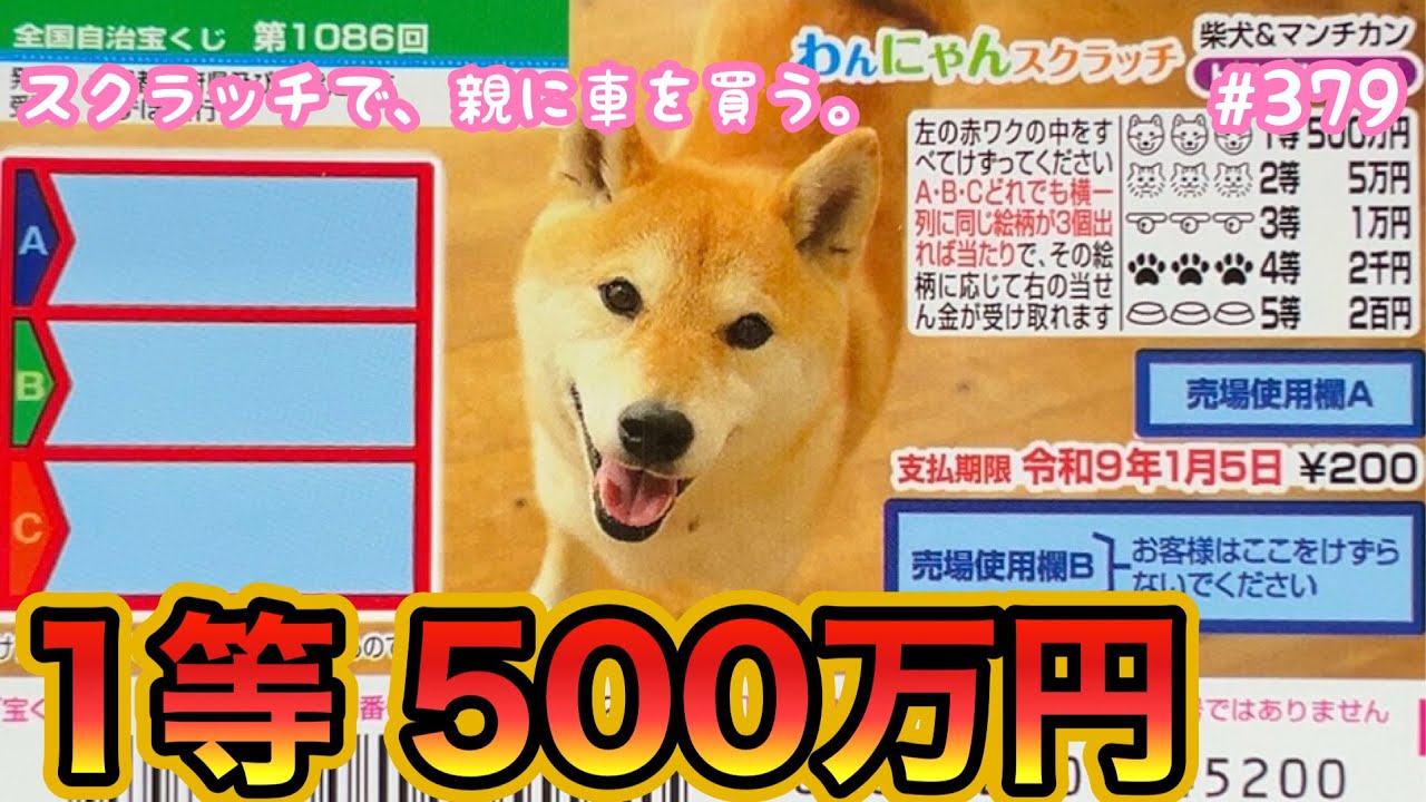 2025年最後の挑戦で奇跡の当たり!!【わんにゃんスクラッチ 柴犬＆マンチカン トリプルマッチ】『1等500万円』目指して10枚セットで2025年最後の挑戦！！【宝くじ】