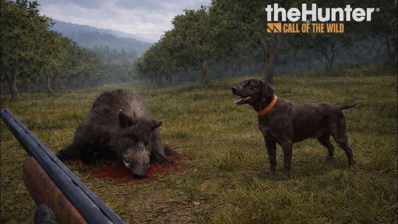 Rececho a jabali diamante con escopeta 🐗 #thehunter #cuatrocolinas #thcotw #caza 