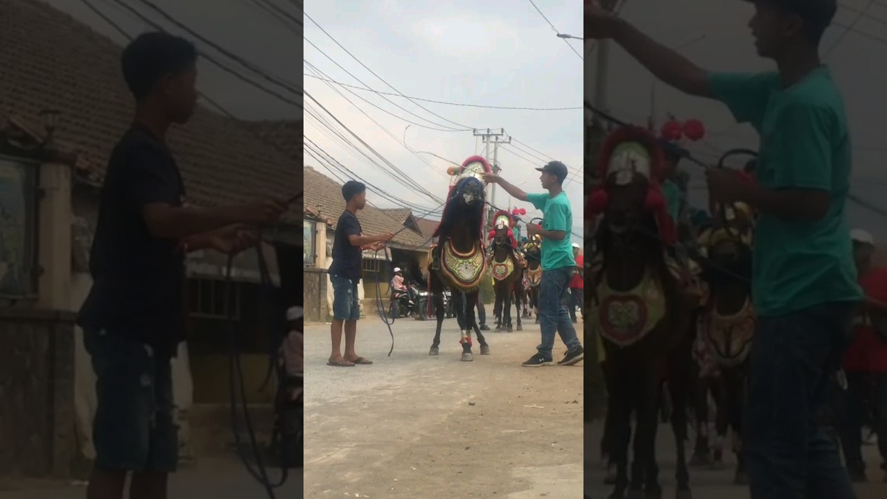 KUDA RENGGONG NGAMUK ‼️ #kudarenggong #kudarenggongterbaru #kudasilat #katineungseni #dancinghorse