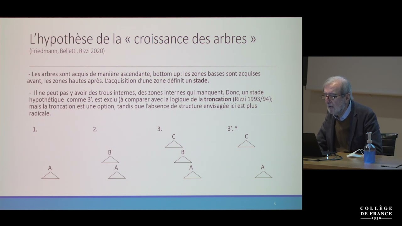 Cartographie et minimalisme : complexit&eacute; des structures, simplicit&eacute;... (8) - Luigi Rizzi (2020-2021)