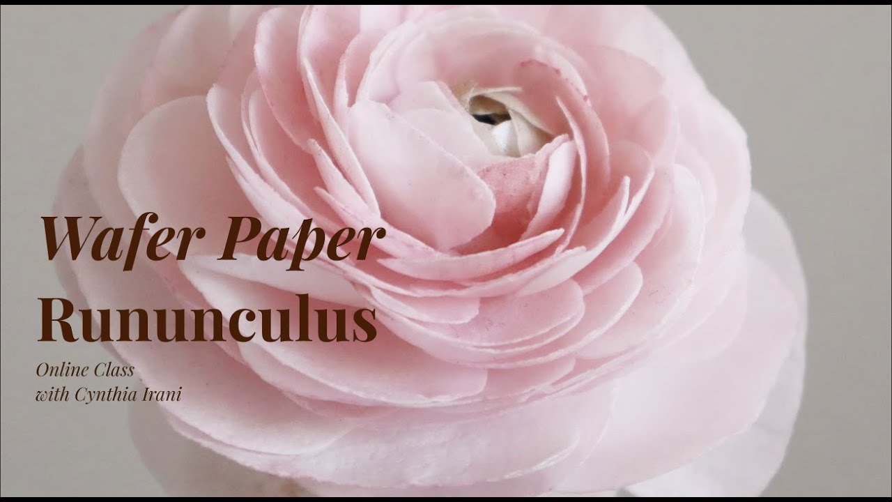 How to make a ranunculus wafer paper flower