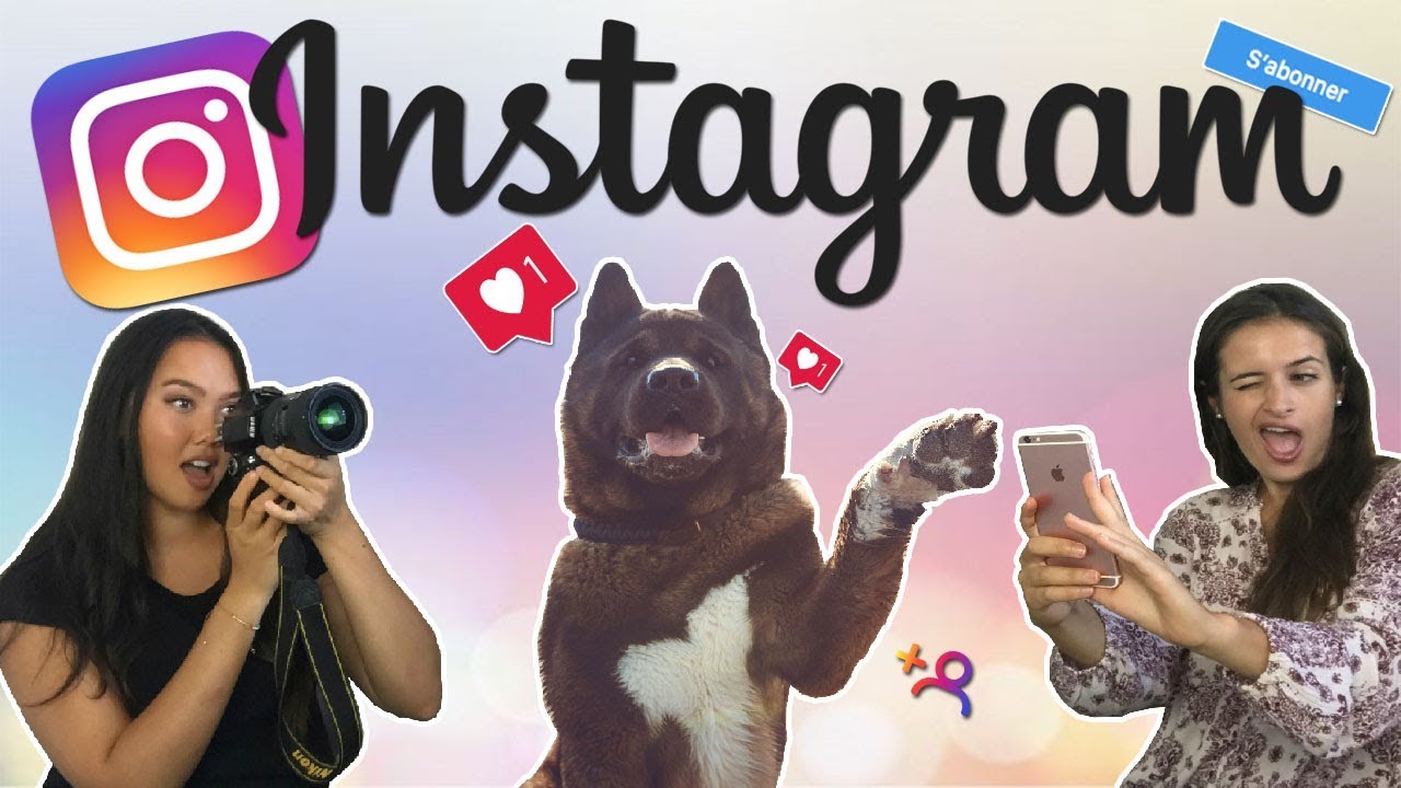 INSTAGRAM POUR SON CHIEN ?!