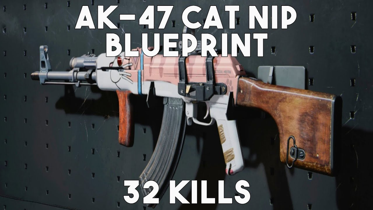 Call of Duty: Black Ops Cold War Multiplayer AK-47 Cat Nip Blueprint Gameplay