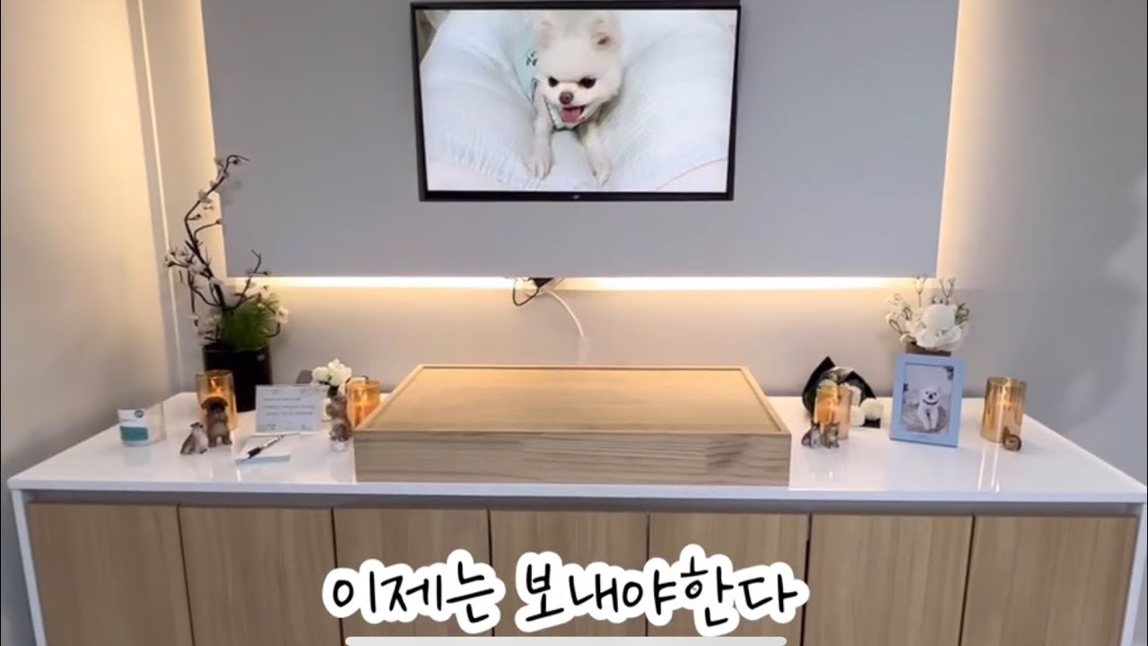 달짝이를 떠나 보내고... 이런 영상은 지금도 만들기 싫다