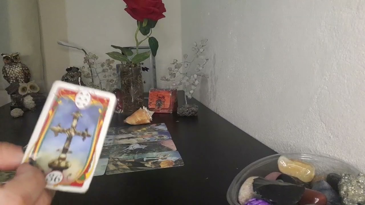 🌹 O que vem para a sua vida amorosa no mês de Fevereiro?
