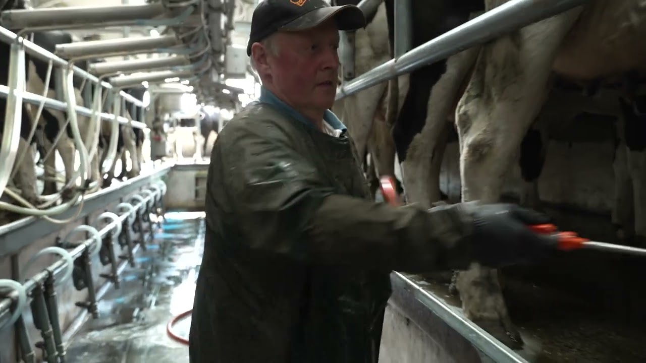 Testimonial - ATL 16/32 Swingover Herringbone Cow Parlour - County Offaly, Ireland