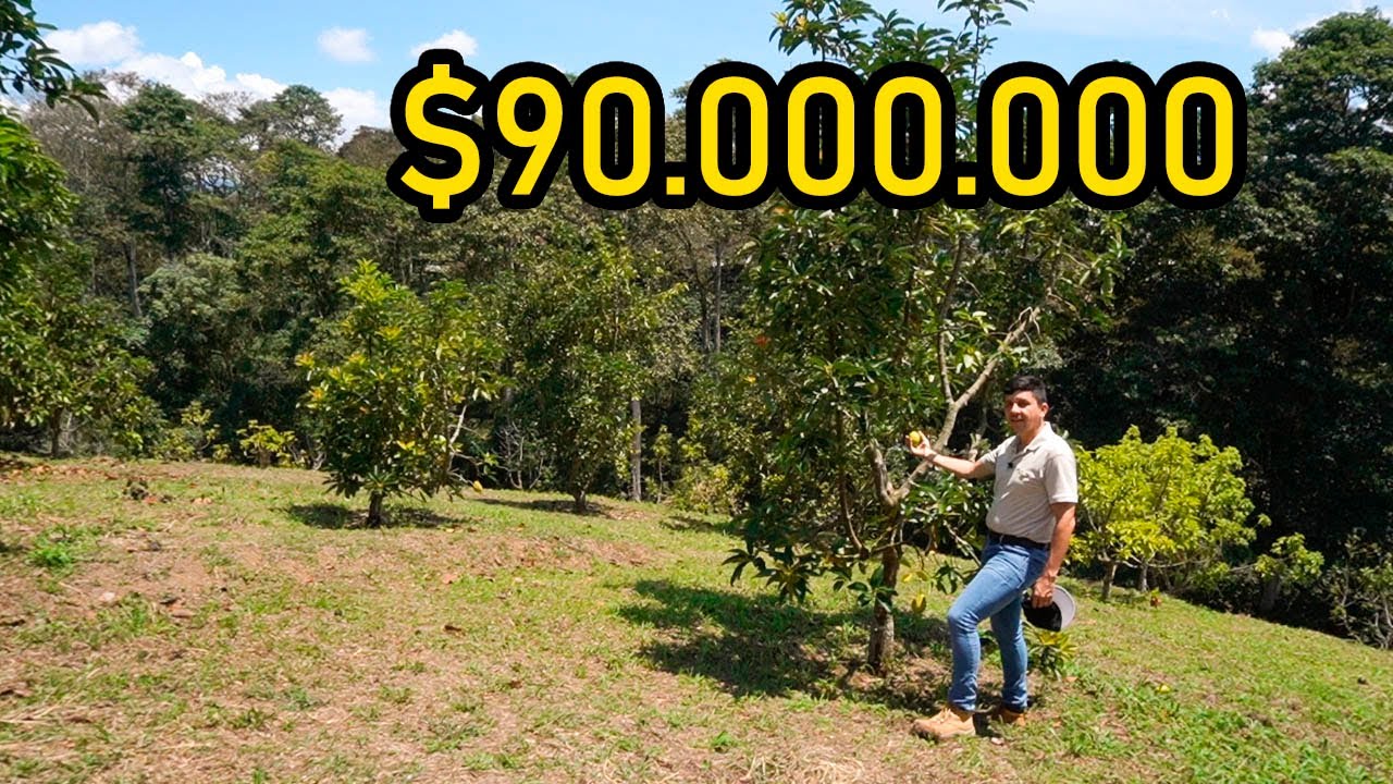 Lotes de 1000m2 planos e inclinados con plazo hasta 6 meses para pagarlo