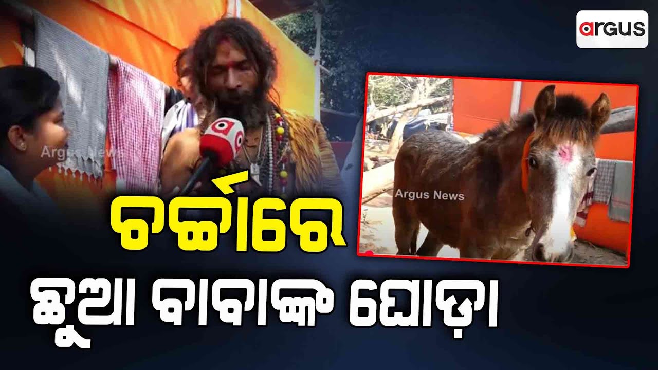 ଚର୍ଚ୍ଚାରେ ଛୁଆ ବାବାଙ୍କ ଘୋଡ଼ା | Khandagiri Mela | Argus News