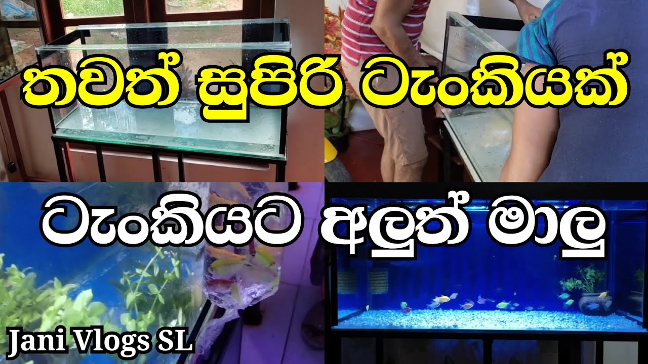 තවත් සුපිරි ටැංකියක් ටැංකියට අලුත් මාලු-Thawath Supiri Tankiyak Tankiyata Aluth Malu - Jani Vlogs SL