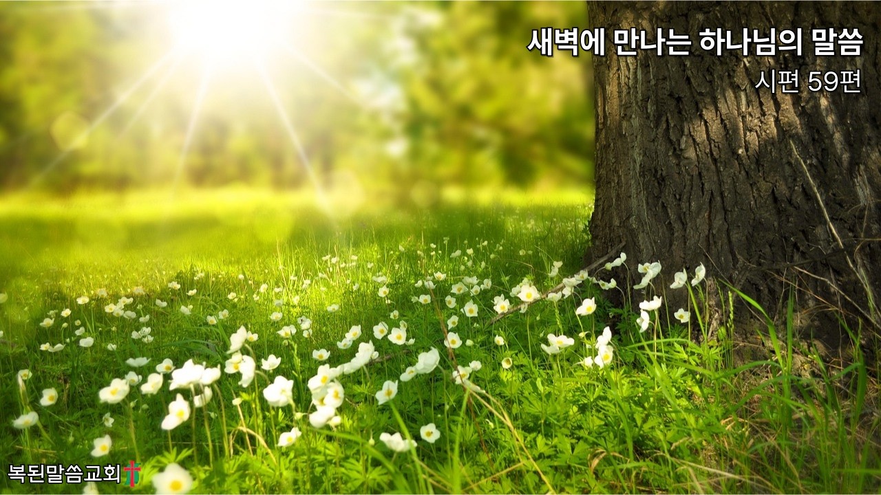 시편 59편
