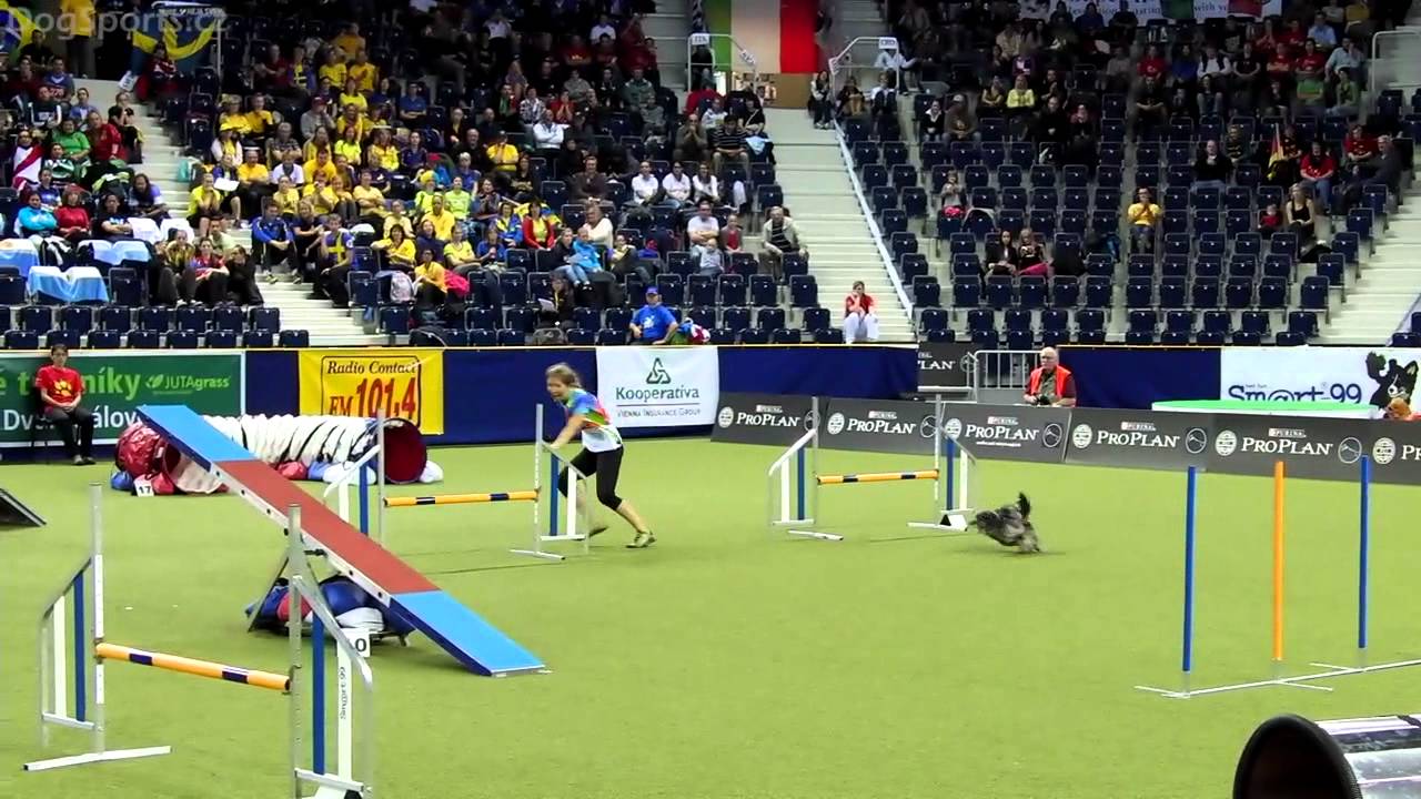 WC2012 Silvia Trkman & Le 1st place AGILITY MEDIUM INDIVIDUAL
