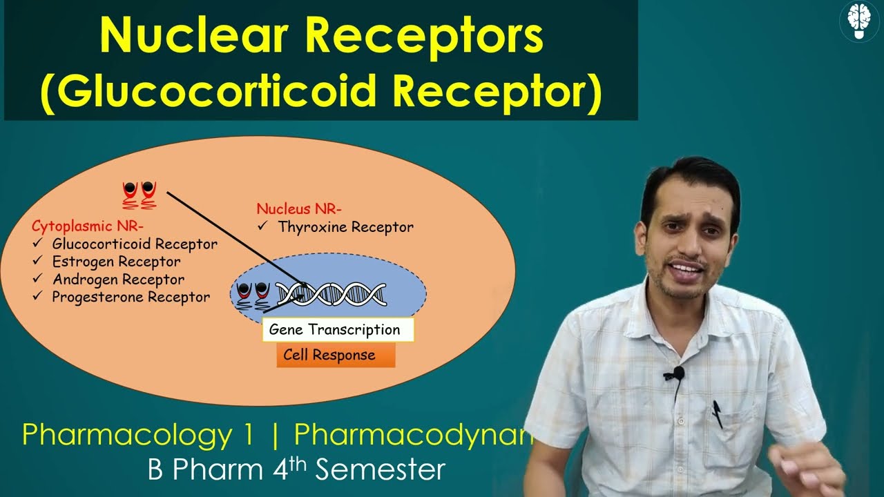Nuclear Receptor | Glucocorticoid Receptor Pharmacology