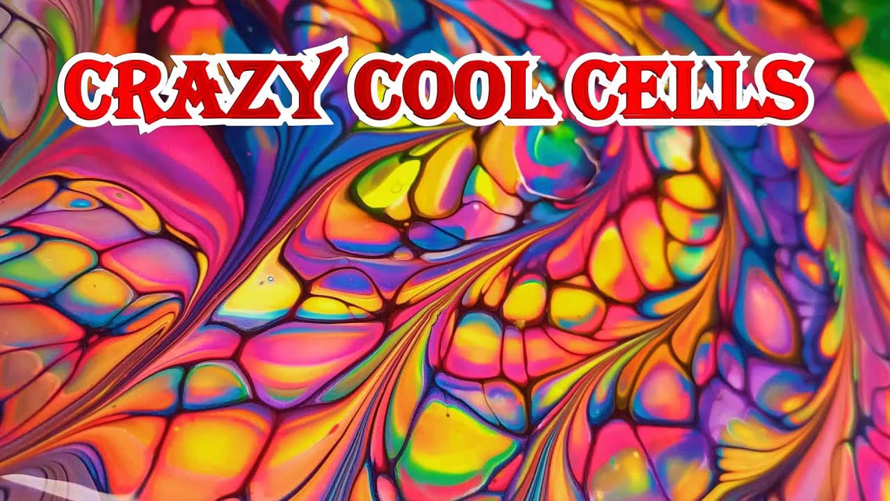 #747 crazy cells Play Night👍🐨
