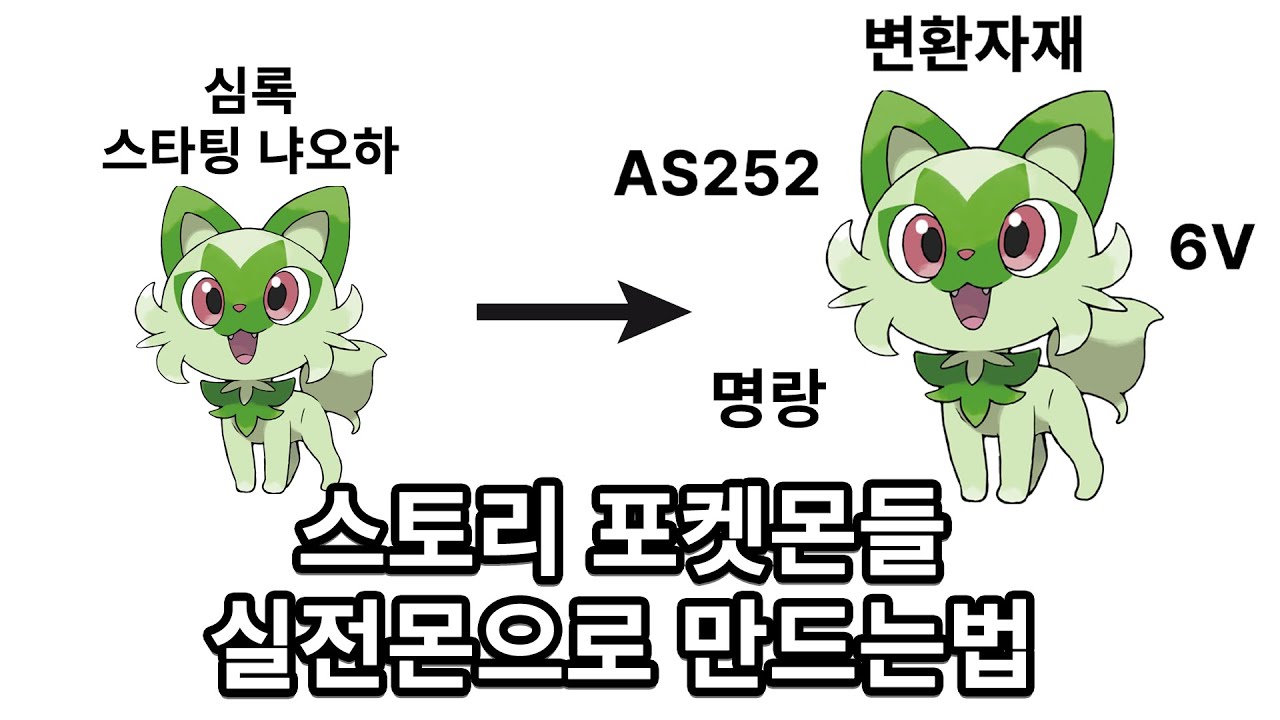 정든 내 스토리 포켓몬 6V 드특 실전몬으로 만드는법 2분안에 정리!! [포켓몬스터 스칼렛 바이올렛]