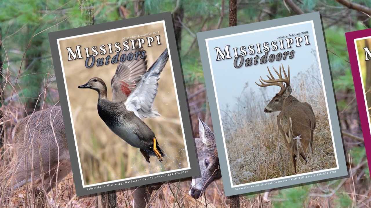 MS Outdoors S29 E01 - Deviney WMA Dove Hunt, Claiborne Co. Alligator Hunt
