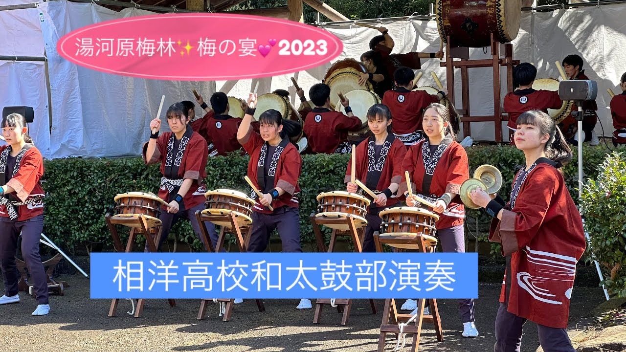 湯河原梅林✨梅の宴2023「相洋高校太鼓部演奏」