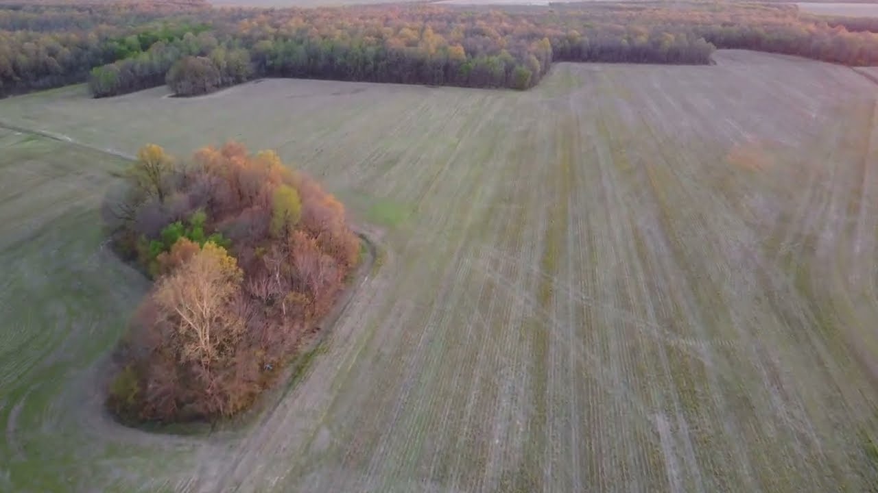 Drone Scouting for deer. Deer survey with DJI Drone. Find where deer are bedded. #hunting