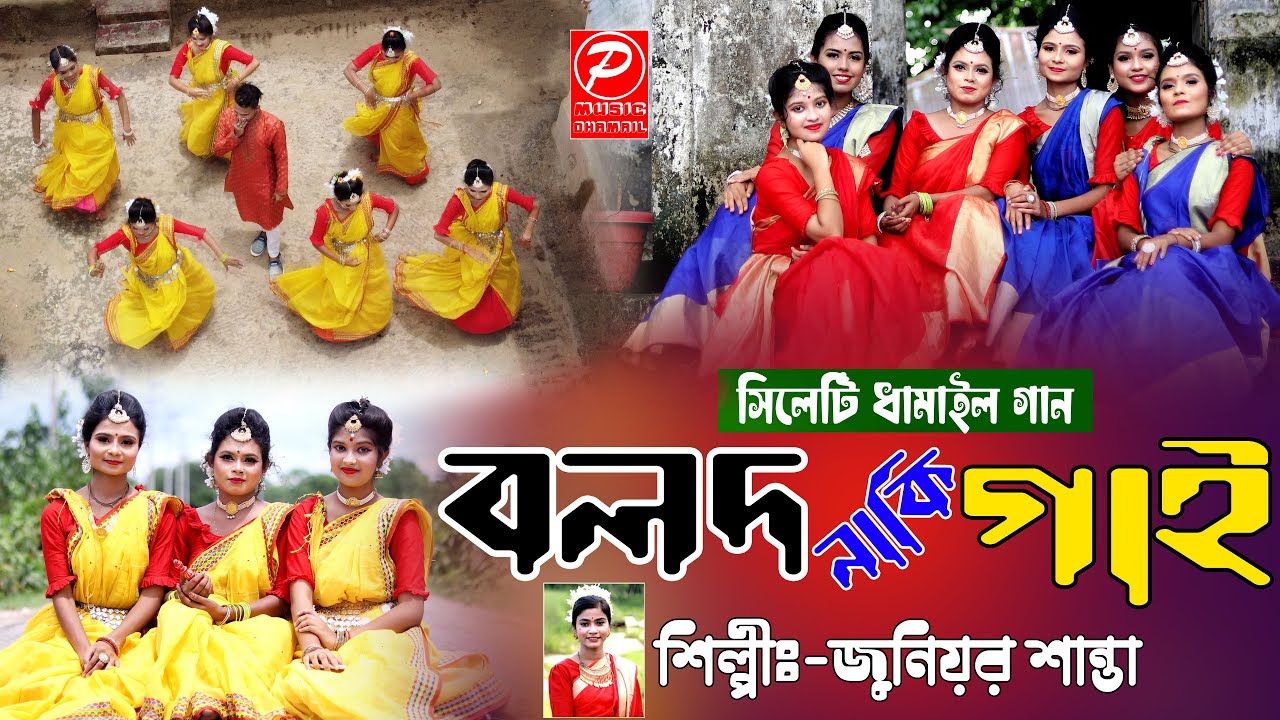 ধামাইল শিল্পী শান্তা ও জেবেল রেজার দুটি জনপ্রিয় ধামাইল,বলদ নাকি গাই ও কোন বনে বাজিলো বাঁশি | dhamail