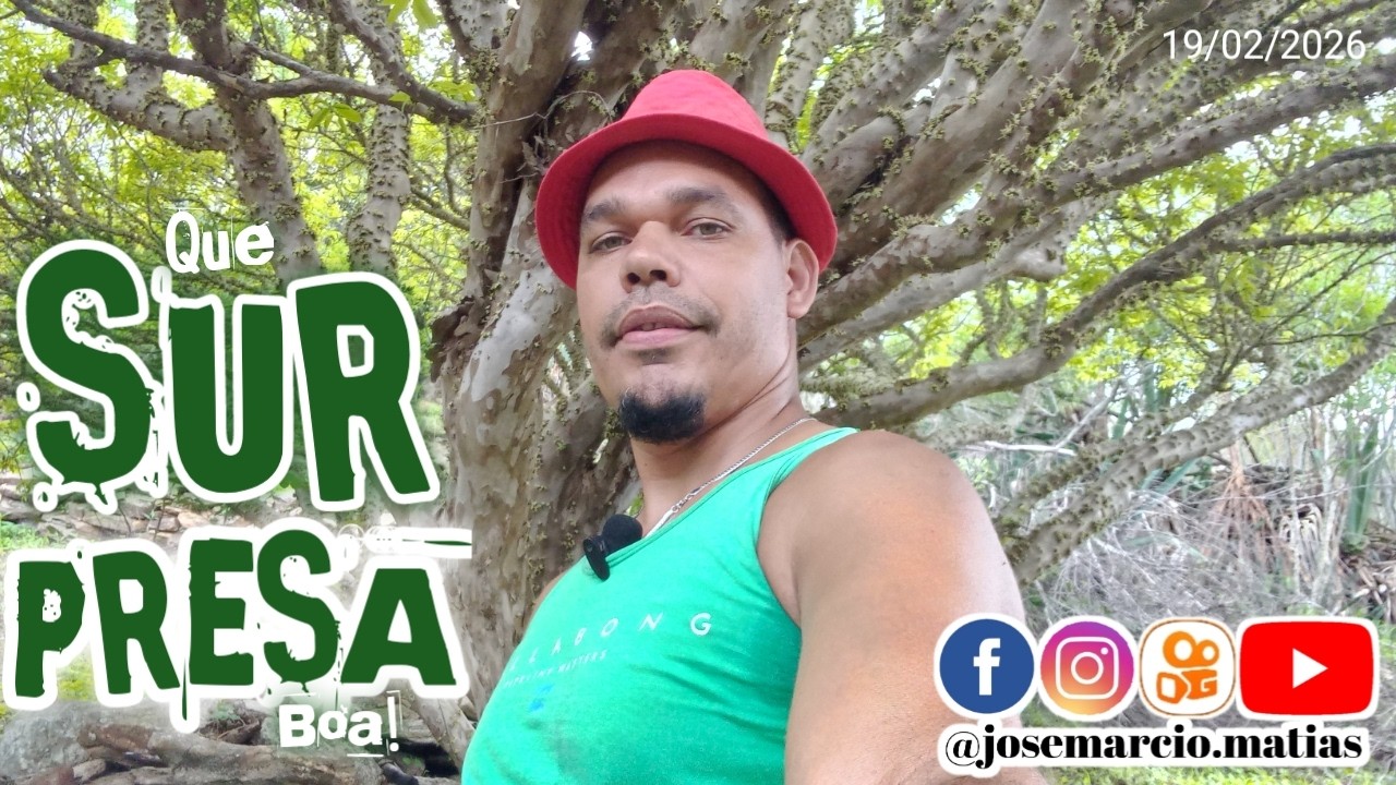 Pés de jaboticabas começam a frutificar...Confira que maravilha!