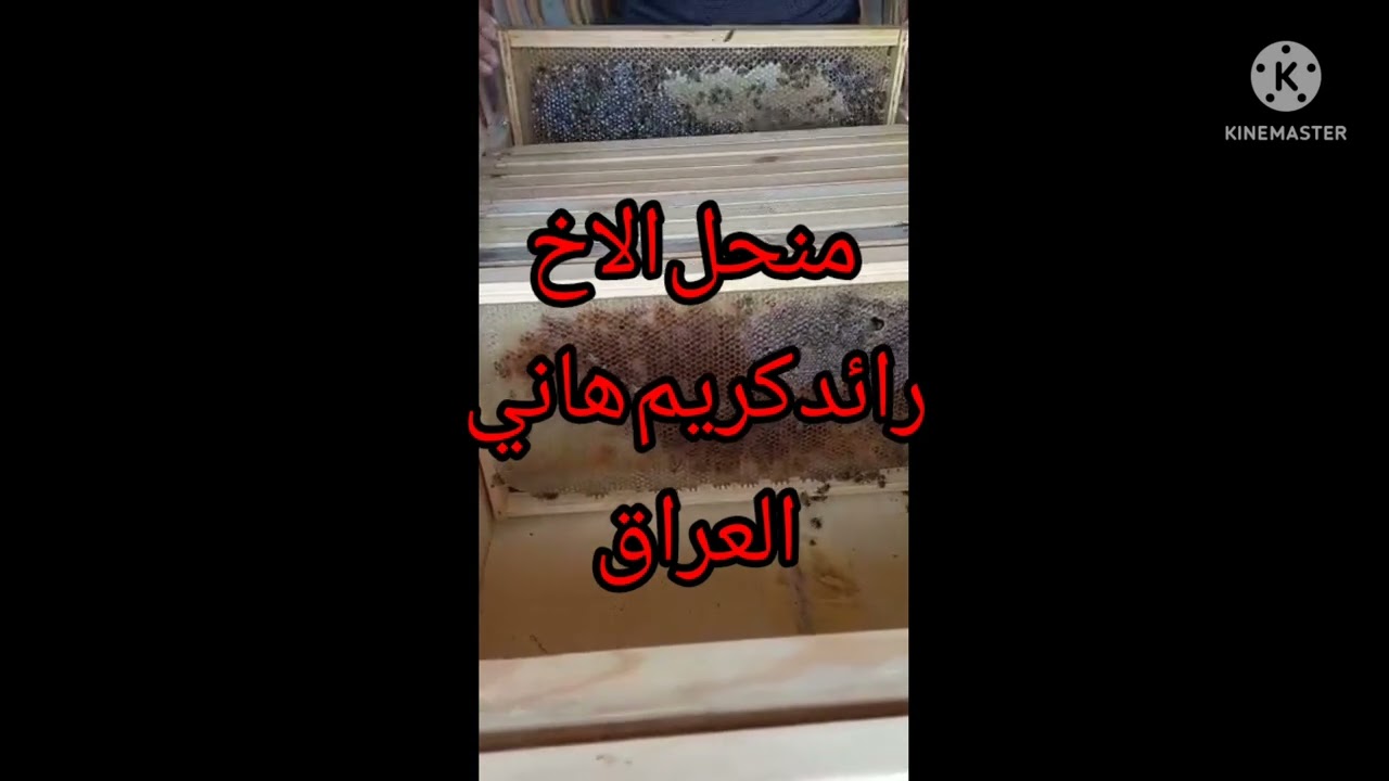 ١أسألة المعارضين