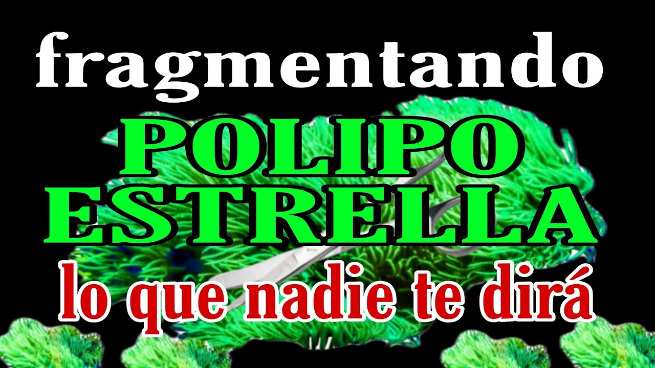 fragmentando Polipo estrella. lo que nadie te dirá.