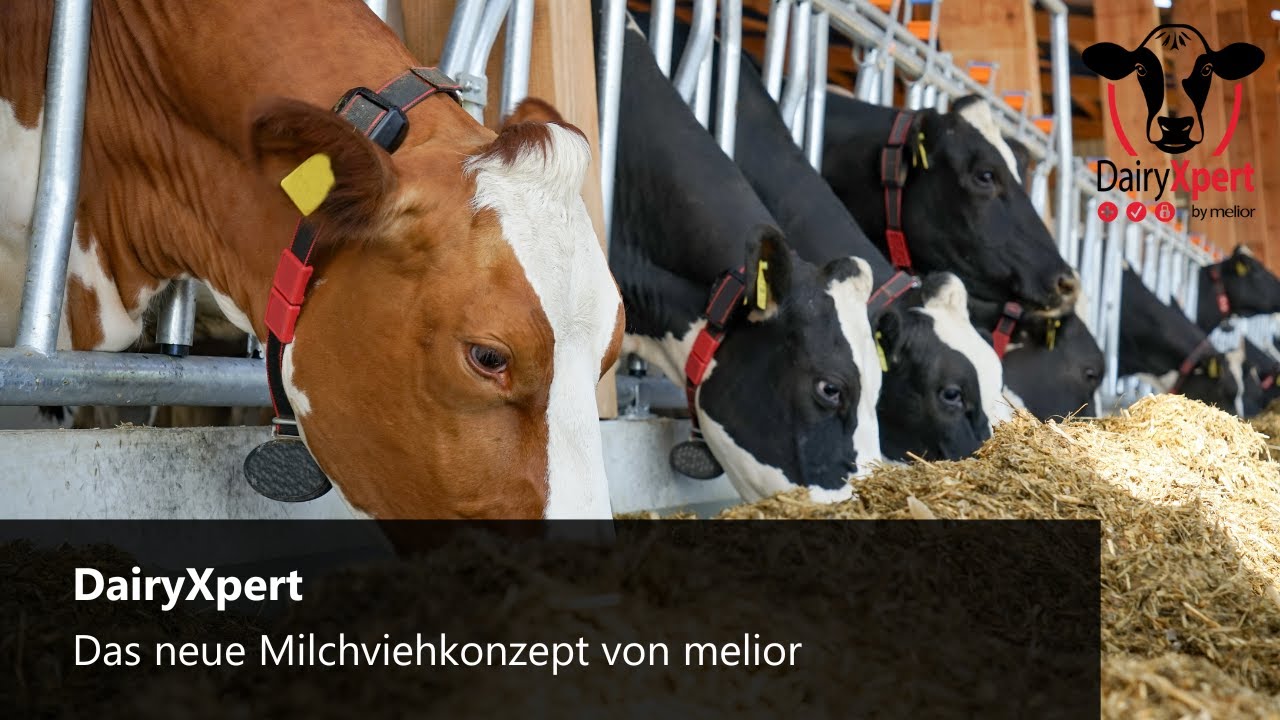 DairyXpert: Das neue Milchviehf&uuml;tterungskonzept von melior
