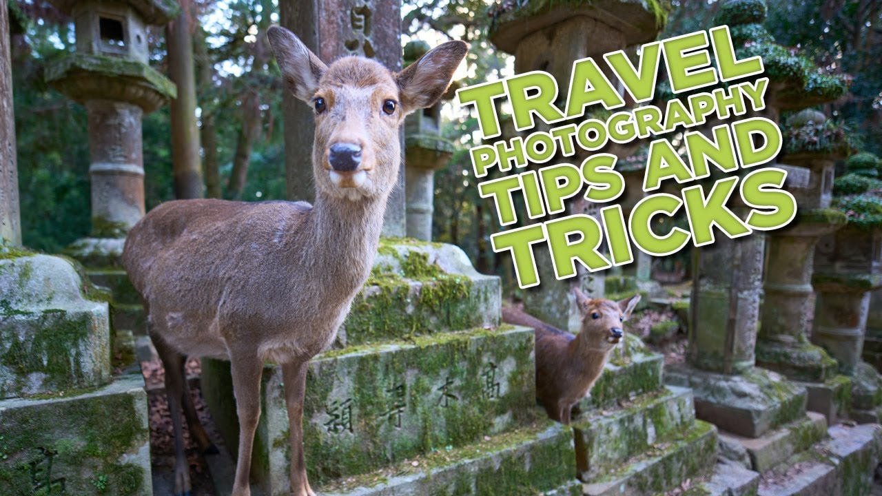 Фотосъемка в путешествиях: какое оборудование и рабочий процесс следует взять с собой?