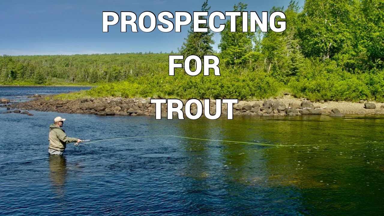 Prospecting for Trout | How To with Tom Rosenbauer