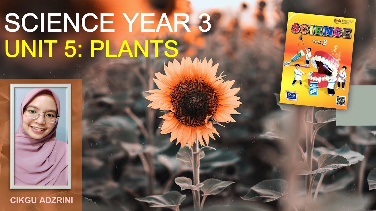 Ways of Reproduction in Plants Year 3