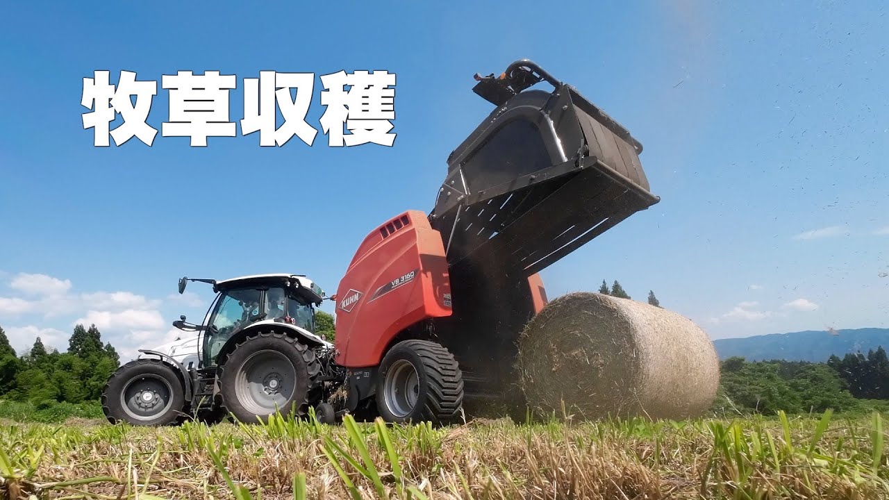 牛の餌、機械で牧草収穫。