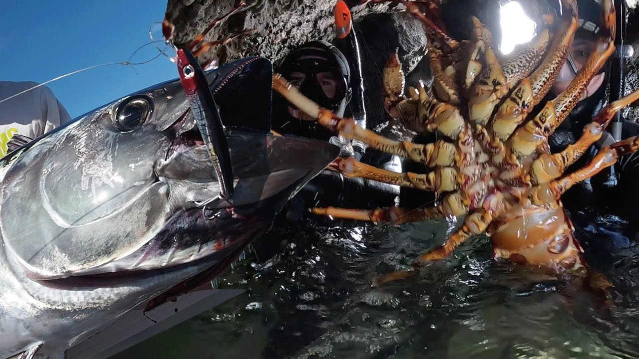 3KG CRAY in Caves and Rock Pools + 30KG TUNA!! (South Coast of Tasmania)