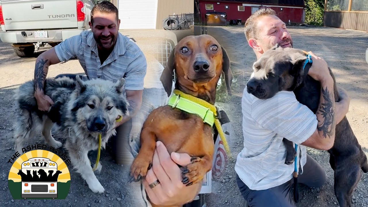 Today is rescue day! We saved these babies from being put down | The Asher House