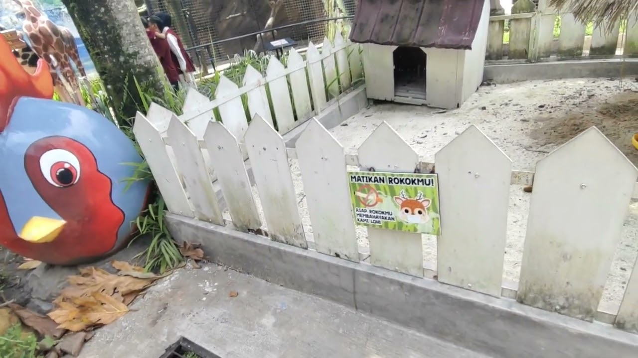 Pergi ke minizoo jember🦒 Aku ketemu apa ajaa yaa??❓