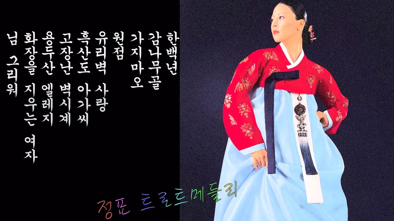 술술 넘어가는 트로트메들리(가수 정표)-한백년,감나무골,원점등 여러곡모음