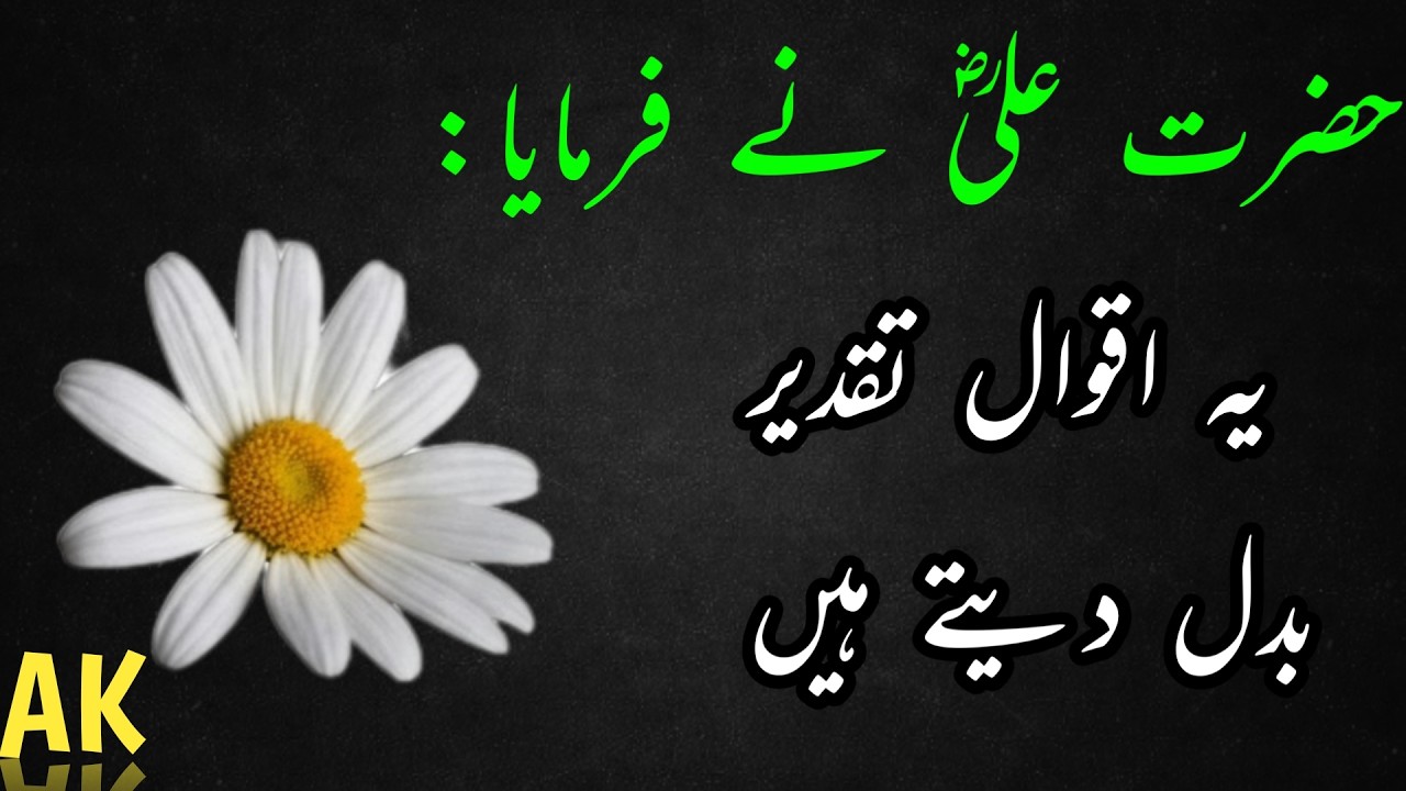 Hazrat Aliؑ Quotes That Can Change Your Life | Islamic Motivation”