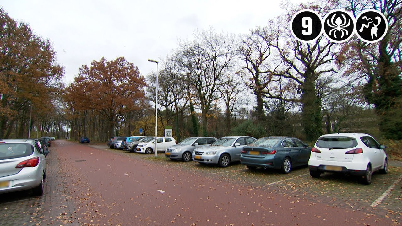Brabander ontvoerd en met geweld beroofd | Eindhoven