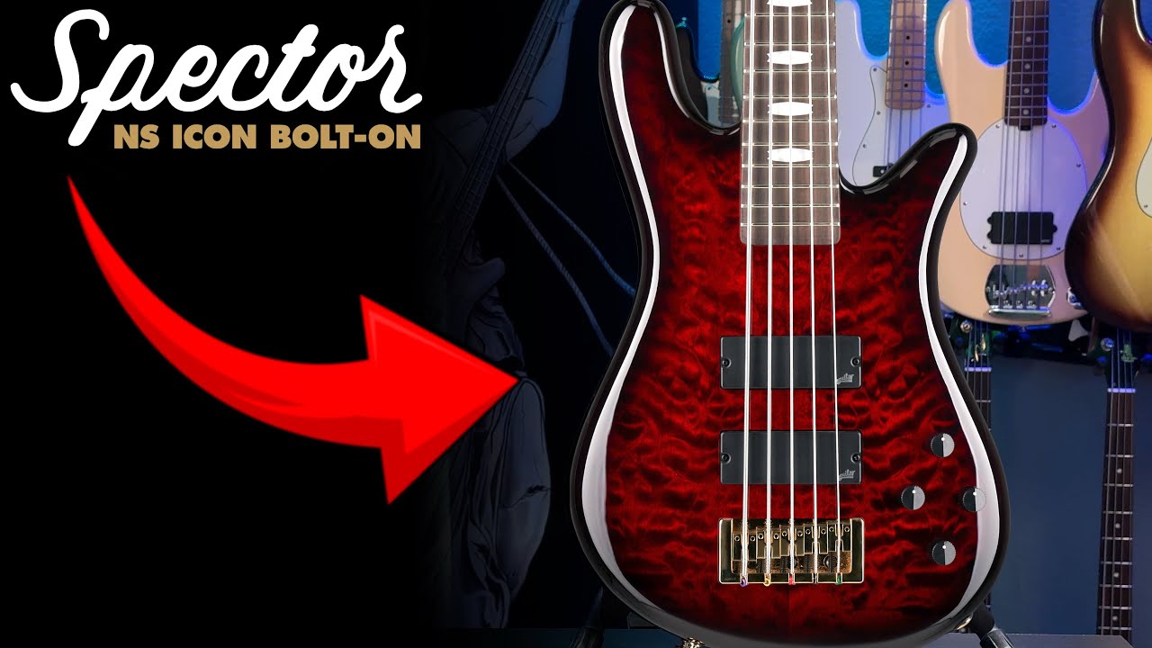 This NEW Spector Bass Might Be the Smartest Buy of 2025