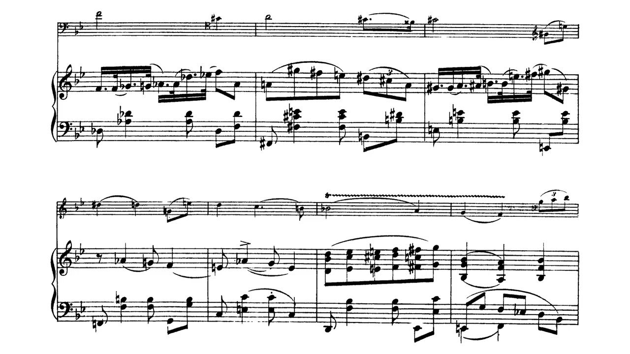 Concert-Polonaise No.2 Op.28 By David Popper (with Score)