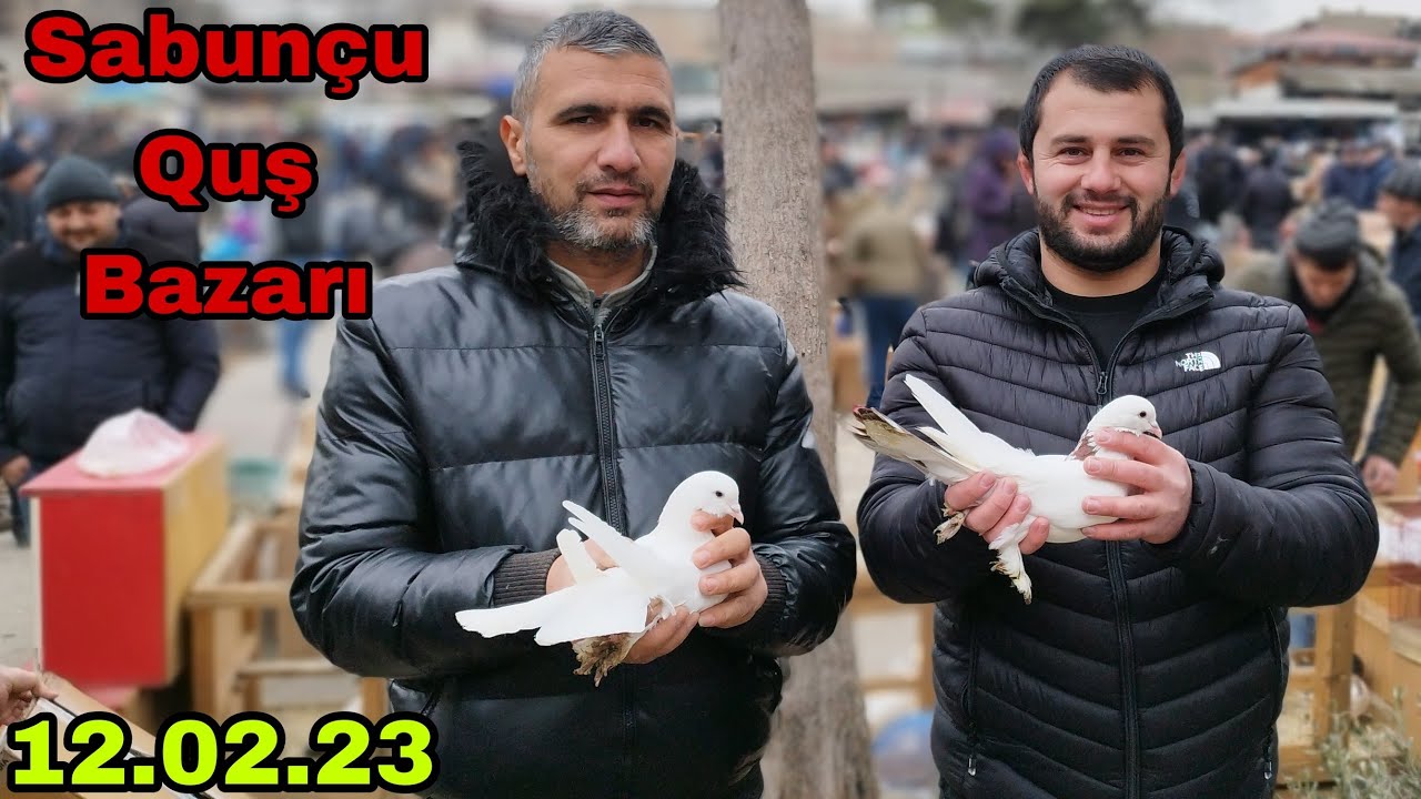 Sabunçu Quş Bazarı 13 Fevral 2023