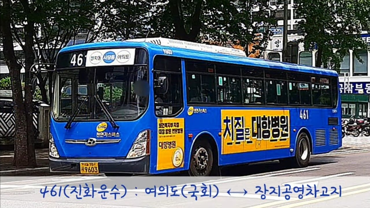 [서울 남부의 지배자] 461번(진화운수) 