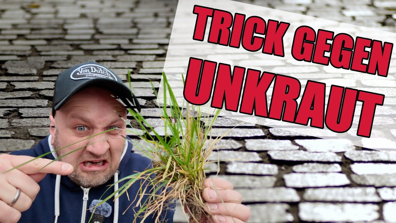 #Unkraut f&uuml;r immer loswerden! 💥 Dieser geheime #Trick aus dem Baumarkt wirkt sofort!