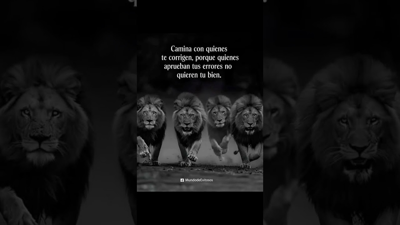 Frases de Santos Camina con quienes te corrigen... #frasesdesantos #santopadre #frases