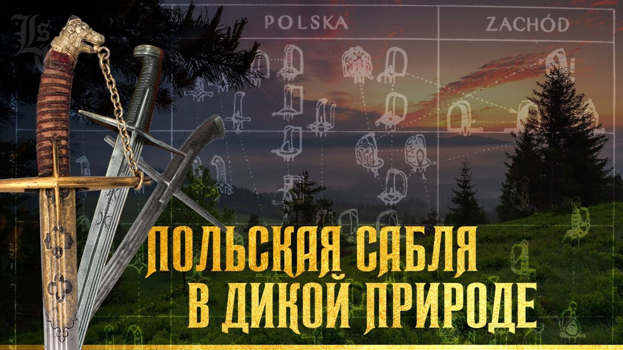 Польская сабля. Откуда она взялась и почему стала каноничной для этого региона? Вадим Сеничев